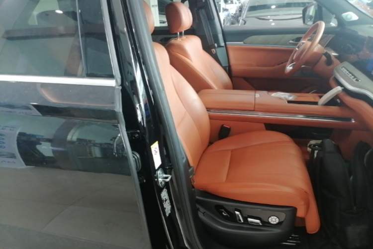Used Wey Lanshan 2023 Four-Wheel Drive Ultra-Long Range Version Right Front Seat