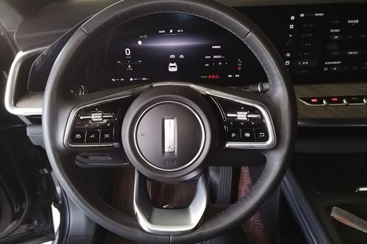 Used Wey Lanshan 2023 Four-Wheel Drive Ultra-Long Range Version Steering Wheel