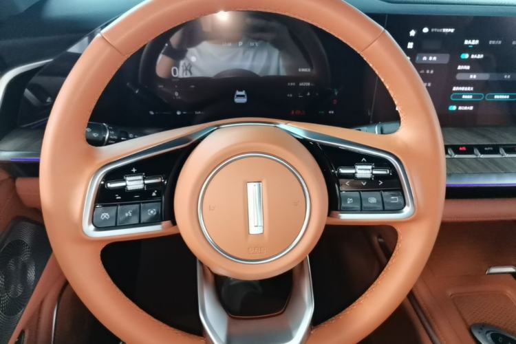 Used Wey Lanshan 2023 Four-Wheel Drive Ultra-Long Range Version Steering Wheel