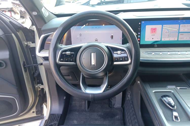 Used Wey Lanshan 2023 Two-Wheel Drive Long-Range Version Steering Wheel