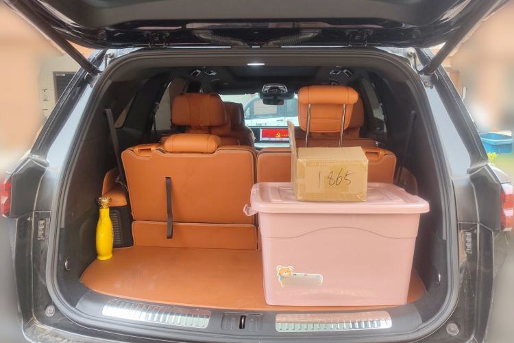 Used Wey Lanshan 2023 Four-Wheel Drive Ultra-Long Range Version Trunk