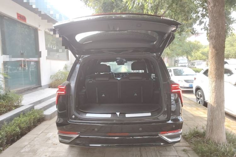 Used Wey Lanshan 2023 Four-Wheel Drive Ultra-Long Range Version Trunk