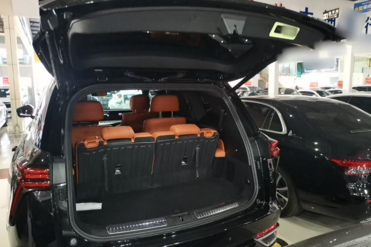Used Wey Lanshan 2023 Four-Wheel Drive Ultra-Long Range Version Trunk