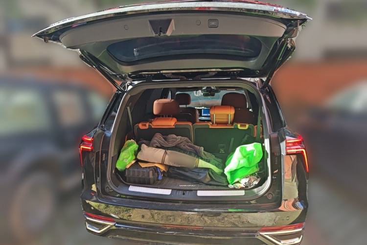 Used Wey Lanshan 2023 Four-Wheel Drive Ultra-Long Range Version Trunk