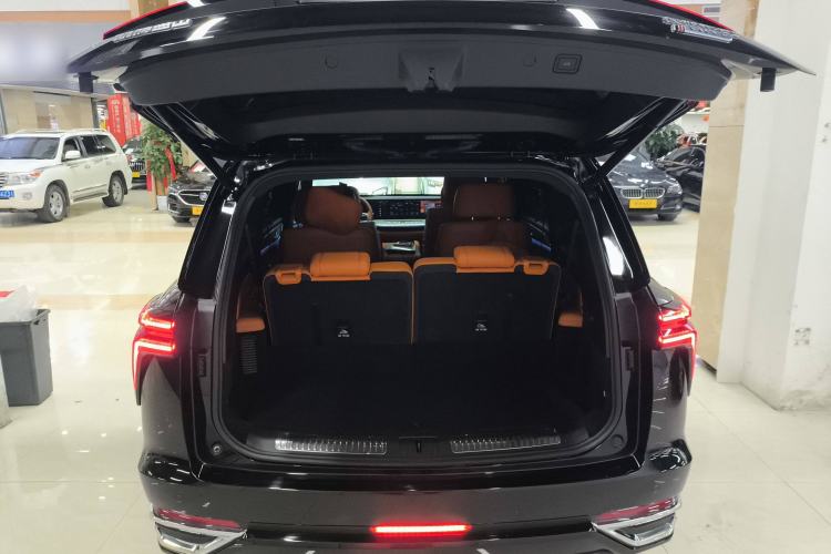 Used Wey Lanshan 2023 Four-Wheel Drive Ultra-Long Range Version Trunk