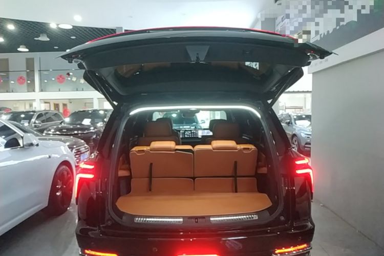 Used Wey Lanshan 2023 Four-Wheel Drive Ultra-Long Range Version Trunk