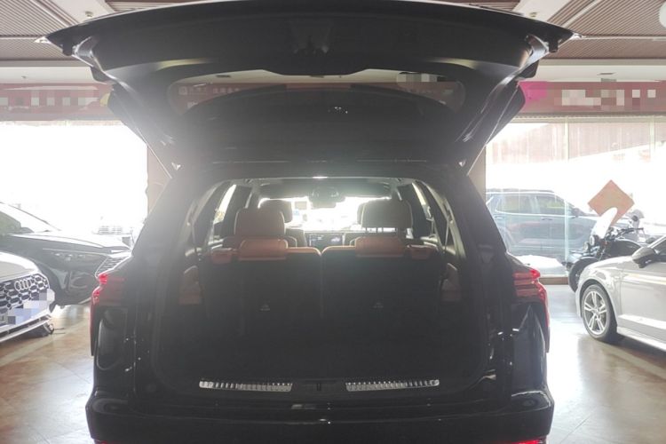 Used Wey Lanshan 2023 Four-Wheel Drive Ultra-Long Range Version Trunk
