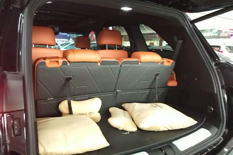 Used Wey Lanshan 2023 Four-Wheel Drive Ultra-Long Range Version Trunk