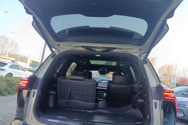 Used Wey Lanshan 2023 Two-Wheel Drive Long-Range Version Trunk