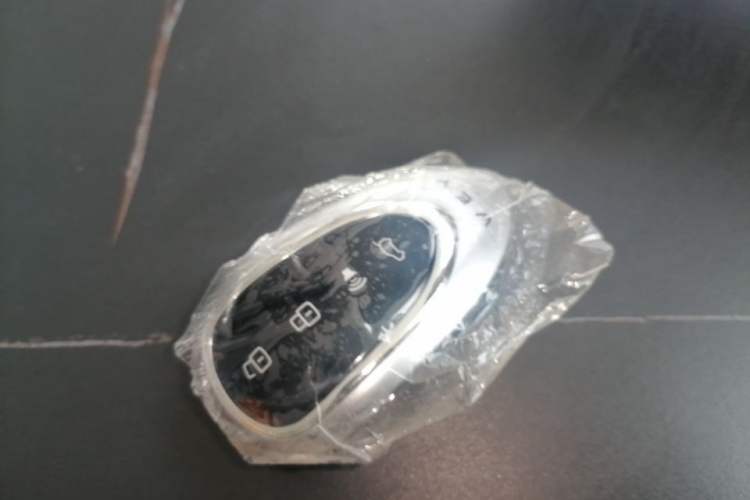 Used Wey Lanshan 2023 Four-Wheel Drive Ultra-Long Range Version Vehicle Key