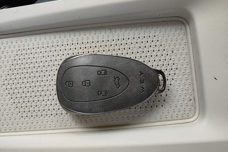 Used Wey Lanshan 2023 Four-Wheel Drive Ultra-Long Range Version Vehicle Key