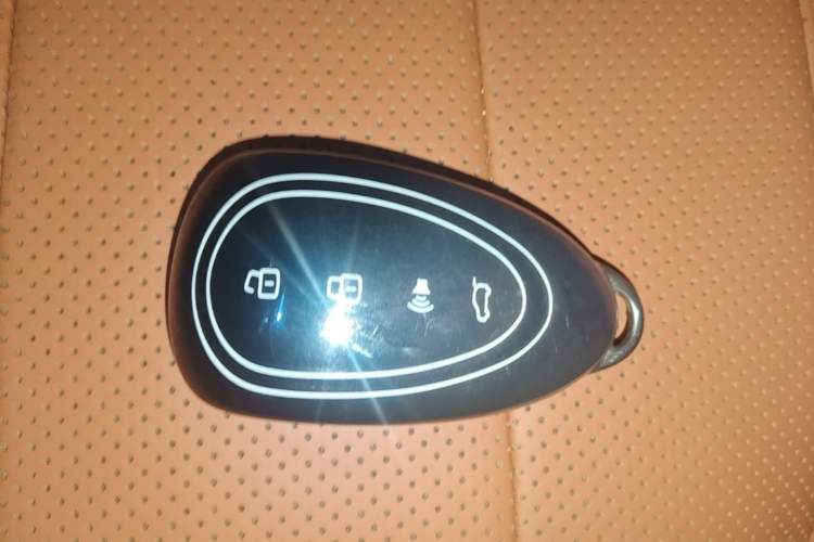 Used Wey Lanshan 2023 Four-Wheel Drive Ultra-Long Range Version Vehicle Key