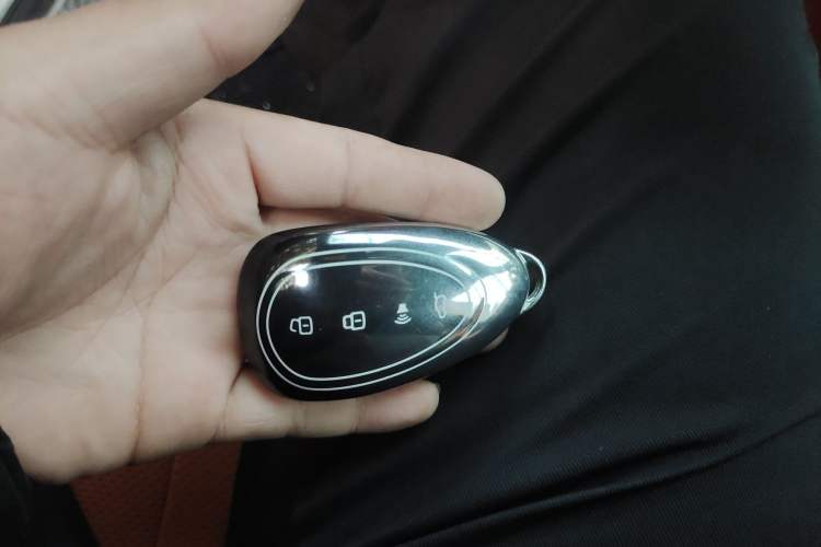 Used Wey Lanshan 2023 Four-Wheel Drive Ultra-Long Range Version Vehicle Key