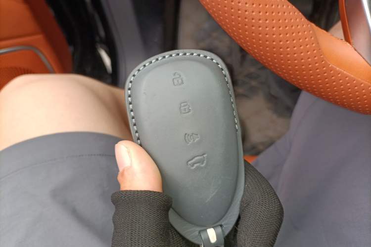 Used Wey Lanshan 2023 Four-Wheel Drive Ultra-Long Range Version Vehicle Key