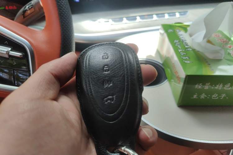 Used Wey Lanshan 2023 Four-Wheel Drive Ultra-Long Range Version Vehicle Key