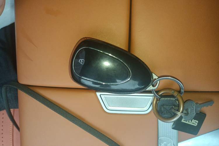 Used Wey Lanshan 2023 Two-Wheel Drive Long-Range Version Vehicle Key
