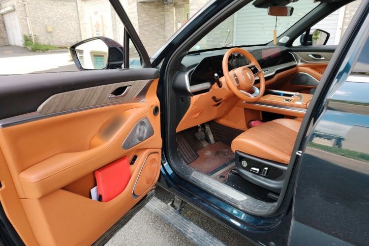 Used Wey Lanshan 2023 Four-Wheel Drive Ultra-Long Range Version Driver Seat