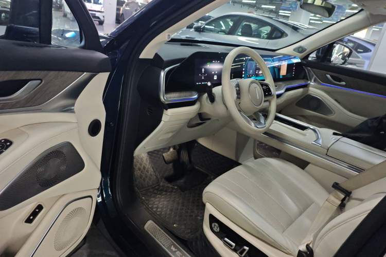 Used Wey Lanshan 2023 Two-Wheel Drive Long-Range Version Driver Seat