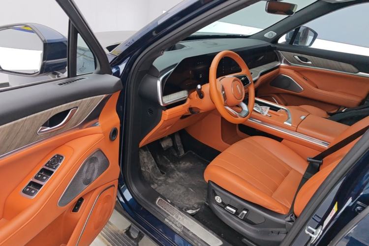 Used Wey Lanshan 2023 Four-Wheel Drive Ultra-Long Range Version Driver Seat