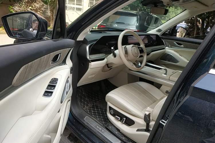 Used Wey Lanshan 2023 Four-Wheel Drive Ultra-Long Range Version Driver Seat