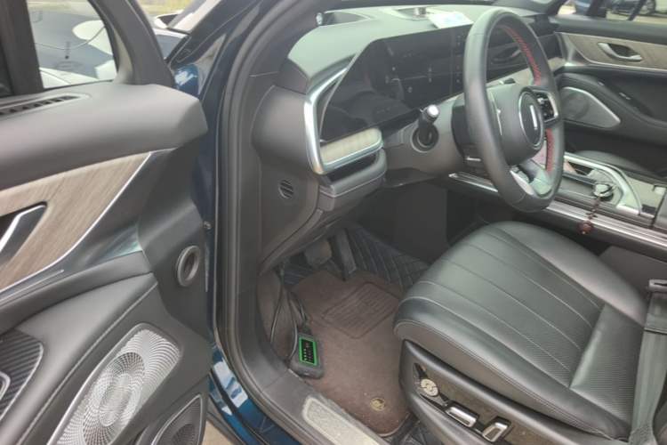 Used Wey Lanshan 2023 Four-Wheel Drive Ultra-Long Range Version Driver Seat