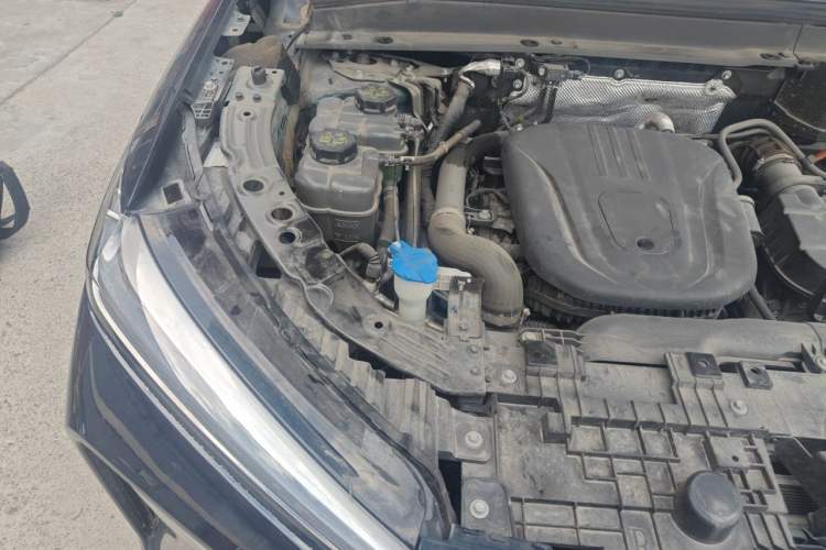 Used Wey Lanshan 2023 Four-Wheel Drive Ultra-Long Range Version Engine Bay Right