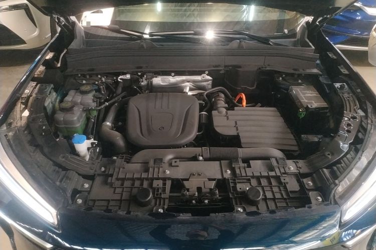 Used Wey Lanshan 2023 Four-Wheel Drive Ultra-Long Range Version Engine Bay