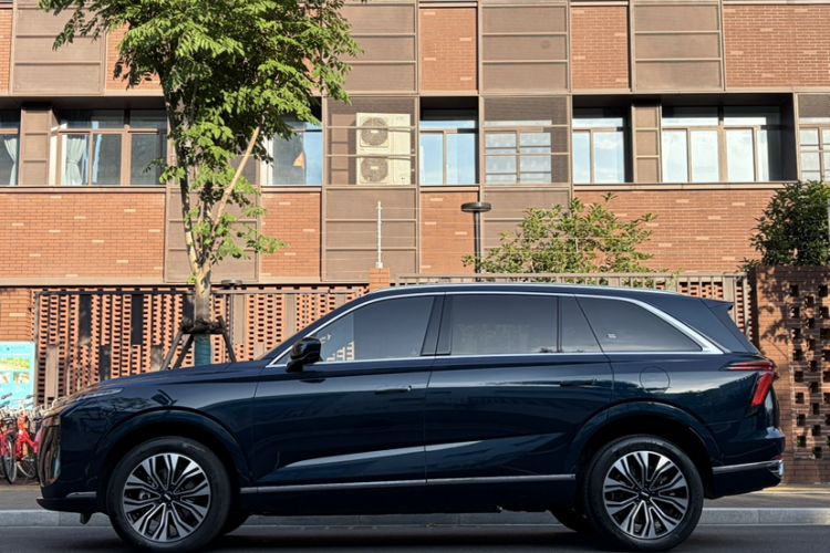 Used Wey Lanshan 2023 Two-Wheel Drive Long-Range Version Exterior 1