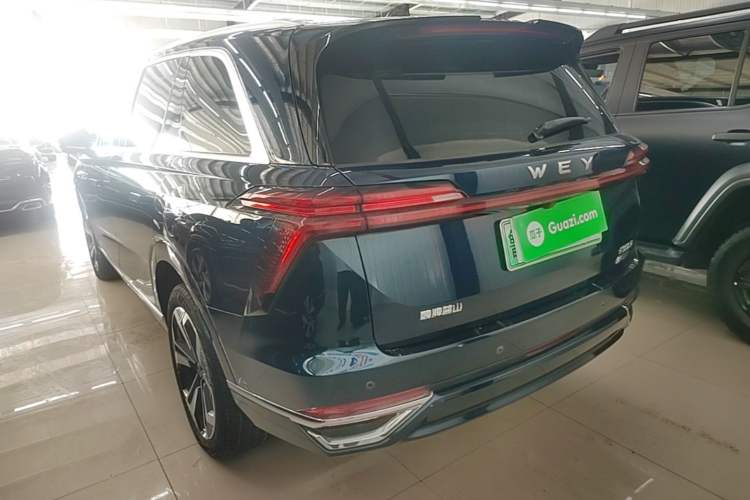 Used Wey Lanshan 2023 Four-Wheel Drive Ultra-Long Range Version Exterior 2