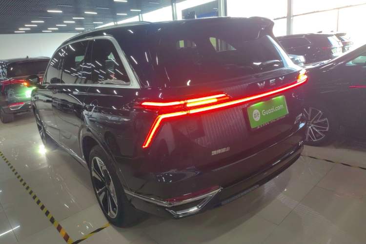 Used Wey Lanshan 2023 Four-Wheel Drive Ultra-Long Range Version Exterior 2