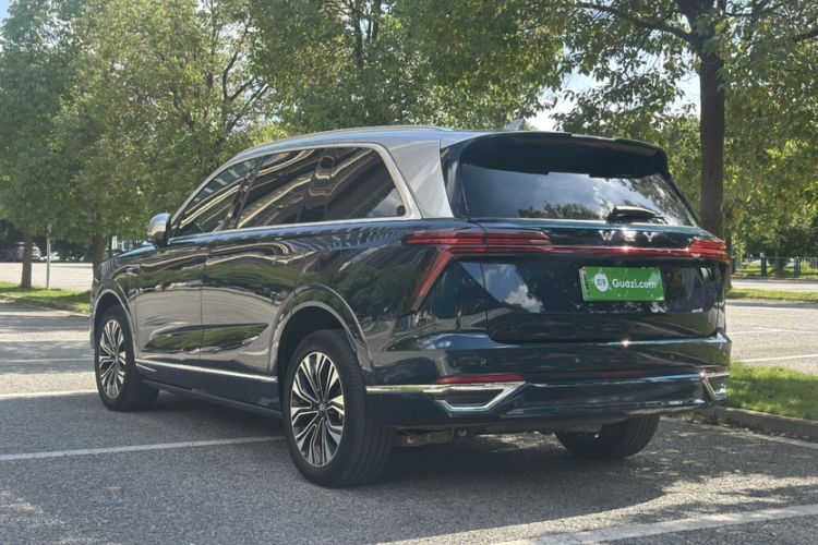 Used Wey Lanshan 2023 Four-Wheel Drive Ultra-Long Range Version Exterior 2