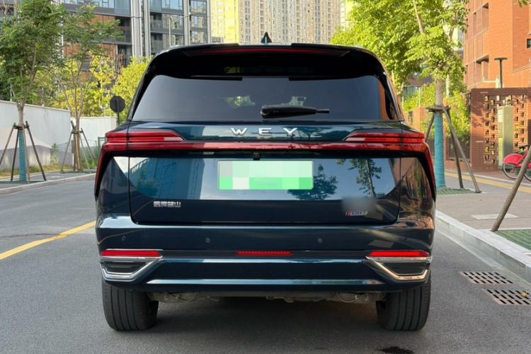 Used Wey Lanshan 2023 Two-Wheel Drive Long-Range Version Exterior 3