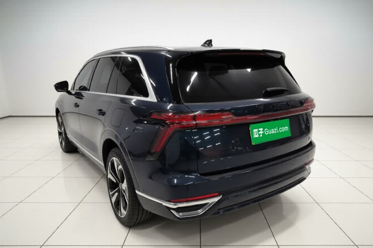 Used Wey Lanshan 2023 Four-Wheel Drive Ultra-Long Range Version Exterior 3