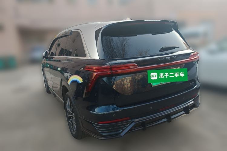 Used Wey Lanshan 2023 Four-Wheel Drive Ultra-Long Range Version Exterior 3