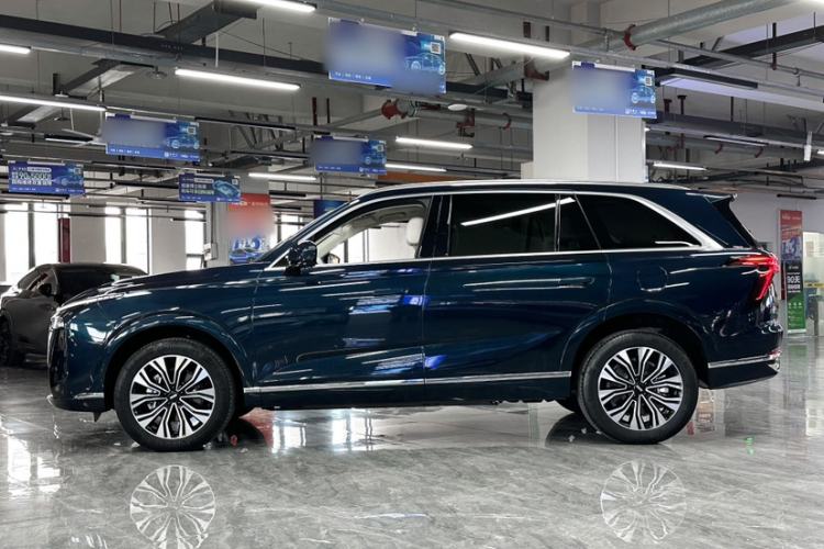 Used Wey Lanshan 2023 Two-Wheel Drive Long-Range Version Exterior 4
