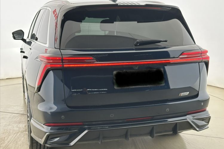 Used Wey Lanshan 2023 Four-Wheel Drive Ultra-Long Range Version Exterior 4