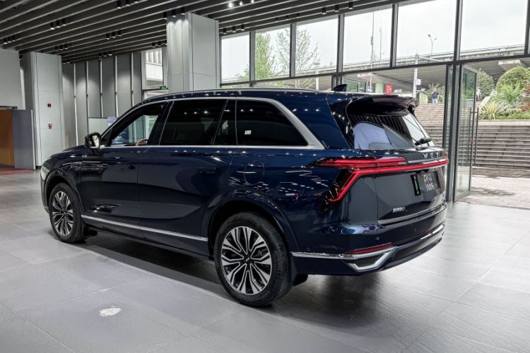 Used Wey Lanshan 2023 Four-Wheel Drive Ultra-Long Range Version Exterior 4
