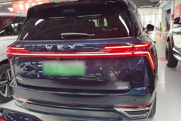 Used Wey Lanshan 2023 Four-Wheel Drive Ultra-Long Range Version Exterior 4