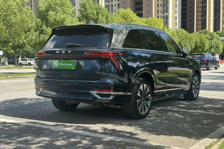 Used Wey Lanshan 2023 Four-Wheel Drive Ultra-Long Range Version Exterior 4