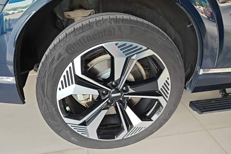 Used Wey Lanshan 2023 Four-Wheel Drive Ultra-Long Range Version Exterior 5