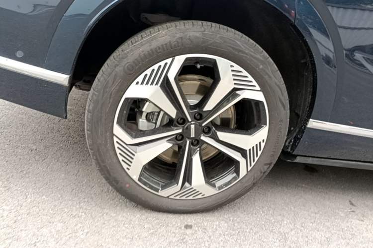 Used Wey Lanshan 2023 Four-Wheel Drive Ultra-Long Range Version Exterior 5