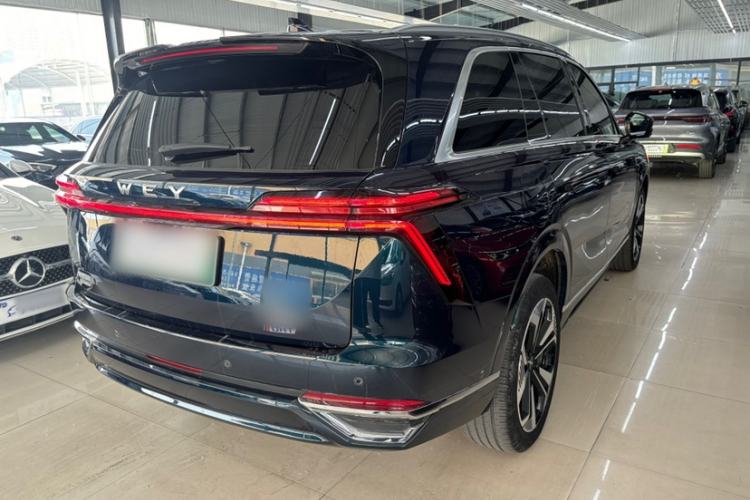 Used Wey Lanshan 2023 Four-Wheel Drive Ultra-Long Range Version Exterior 5