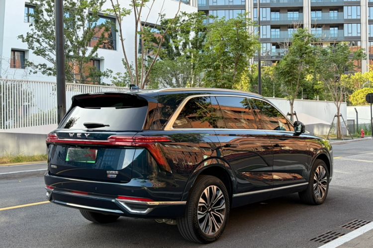 Used Wey Lanshan 2023 Two-Wheel Drive Long-Range Version Exterior 6