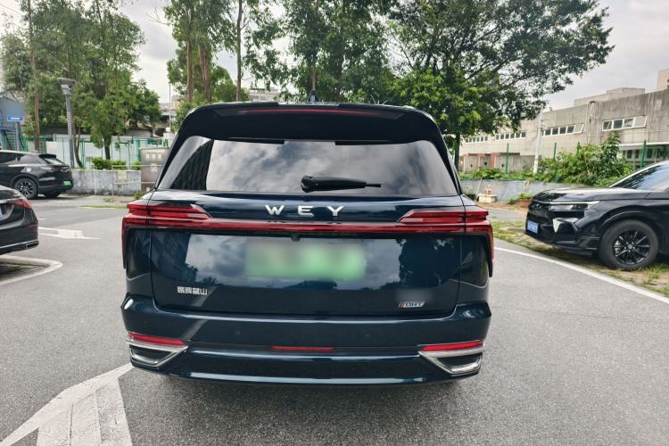 Used Wey Lanshan 2023 Four-Wheel Drive Ultra-Long Range Version Exterior 6