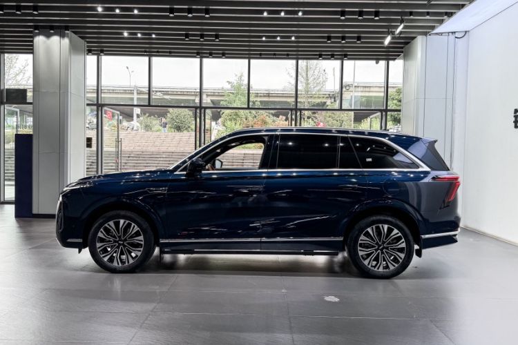 Used Wey Lanshan 2023 Four-Wheel Drive Ultra-Long Range Version Exterior 6