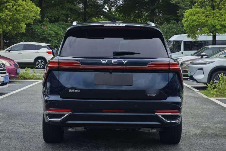 Used Wey Lanshan 2023 Four-Wheel Drive Ultra-Long Range Version Exterior 6