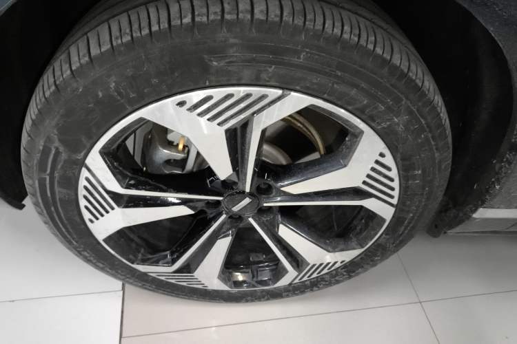 Used Wey Lanshan 2023 Four-Wheel Drive Ultra-Long Range Version Exterior 7