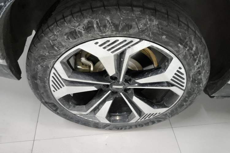 Used Wey Lanshan 2023 Four-Wheel Drive Ultra-Long Range Version Exterior 8