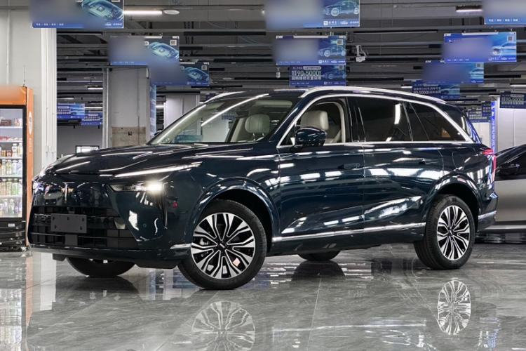 Used Wey Lanshan 2023 Two-Wheel Drive Long-Range Version Exterior 9