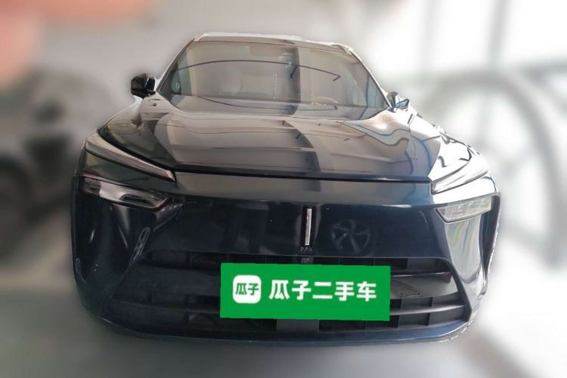 Used Wey Lanshan 2023 Four-Wheel Drive Ultra-Long Range Version Front